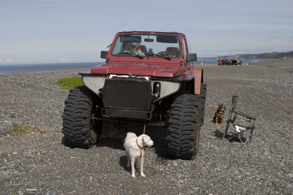 Modified red Suzuki Samurai with large tires on a rocky beach, with two dogs nearby.