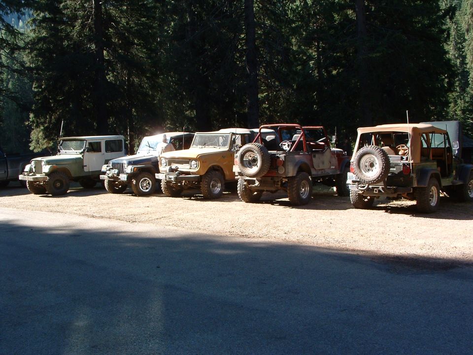 Several off-road vehicles parked in a line in front of a forest.