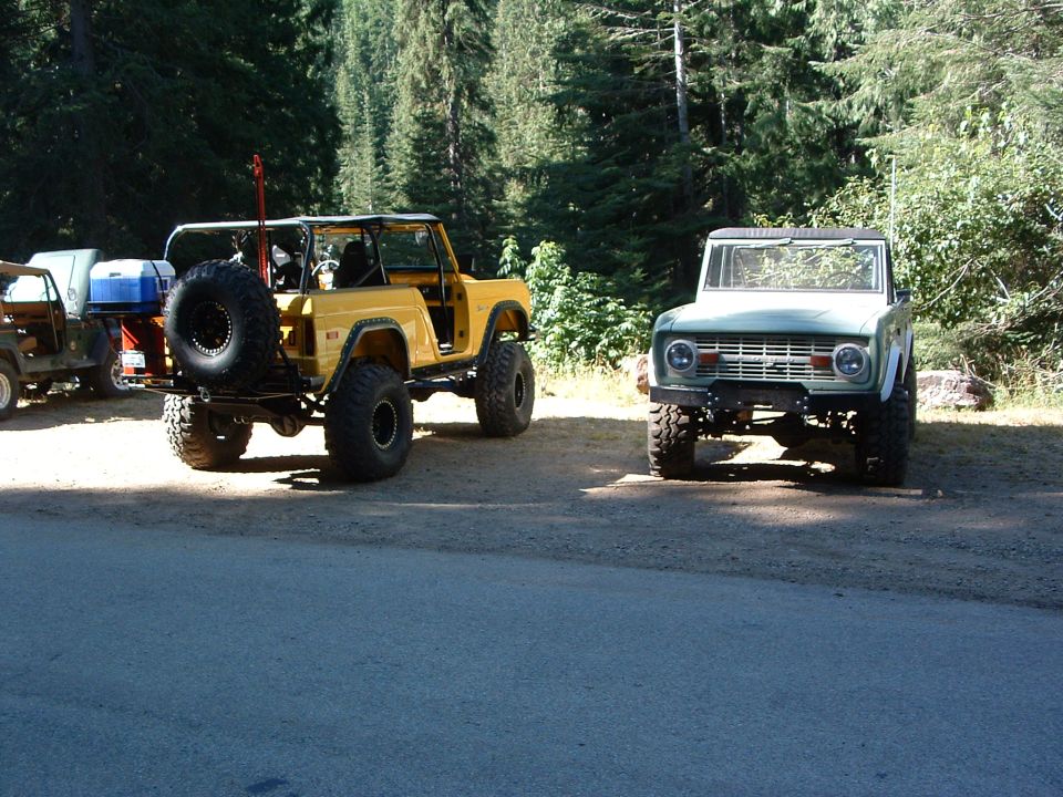 Yellow and green Ford Broncos parked in a forest setting.