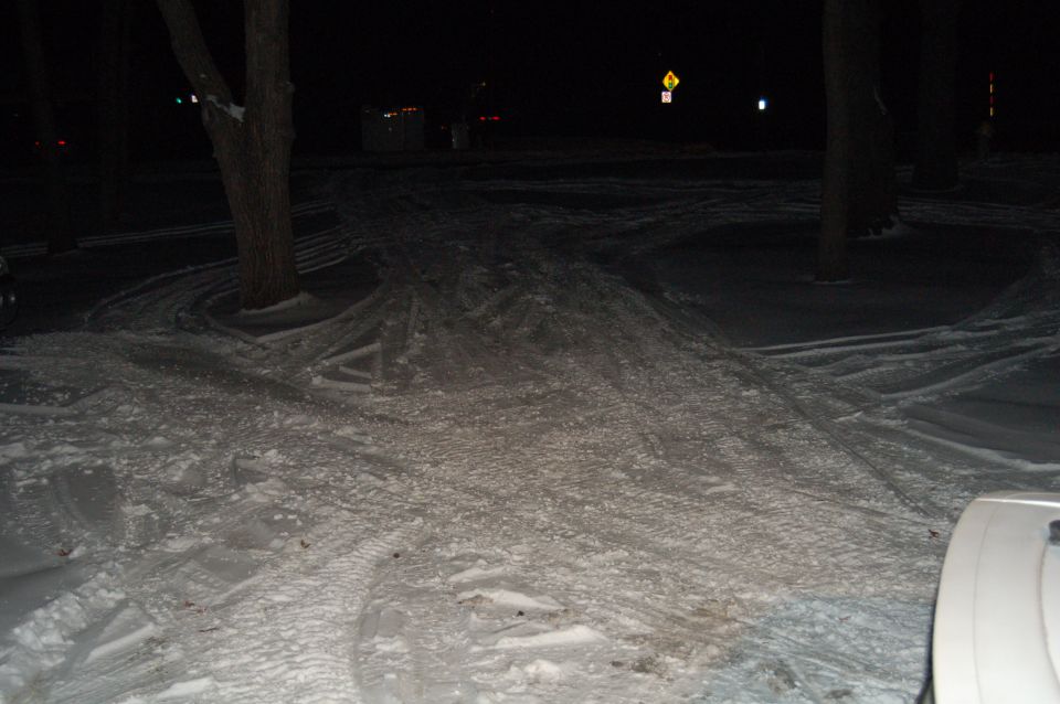 Snowy ground at night covered in crisscrossing track marks between trees