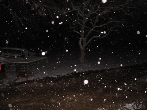 1996 Ford F-150 - A truck is visible in the snow at night, with a tree and falling snow.