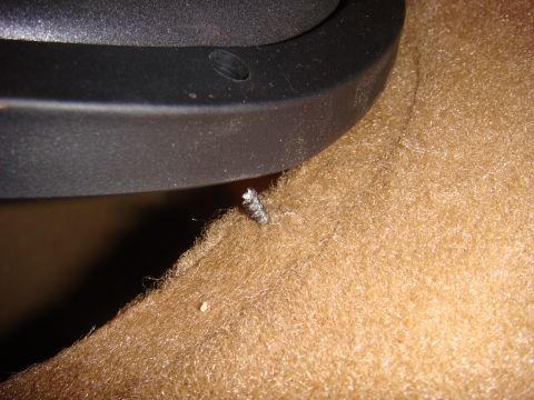 1996 Ford Bronco - A close-up view shows a screw used to mount a speaker into the tan carpet of a vehicle interior.