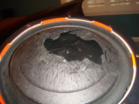 1996 Ford Bronco - This speaker cone has a large tear, rendering it unusable.