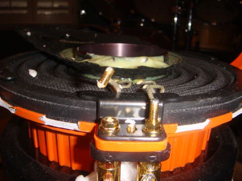 1996 Ford Bronco - Close-up of a speaker component, not a 1996 Ford Bronco.