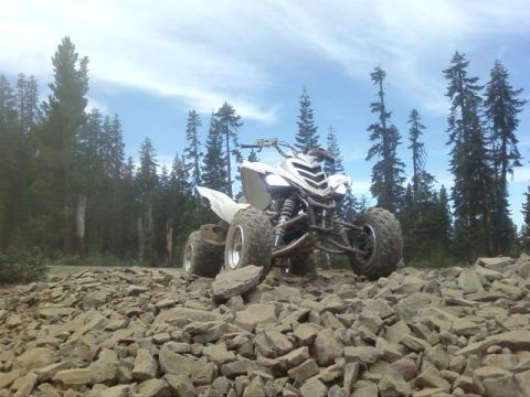 1995 Ford Bronco - A white ATV navigates a rocky trail surrounded by tall pine trees under a partly cloudy sky.