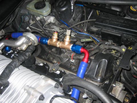 1996 Ford Thunderbird - Custom plumbing is installed in the engine bay, connecting various components with braided hoses.