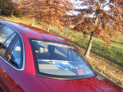 1994 Ford Crown Victoria - The rear of a red sedan is shown with autumn foliage in the background.