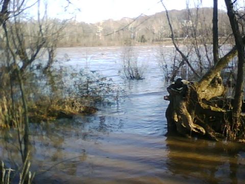 1996 Ford Bronco - The image shows a wide body of water with trees and a hill in the background. The water appears to be high, possibly due to flooding, with…