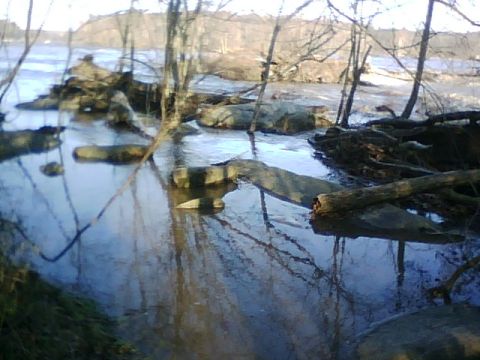 1996 Ford Bronco - A natural scene of a river with rocks and fallen trees in the foreground and background.