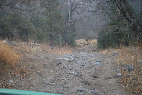 1996 Ford Bronco - A rocky, unpaved dirt road winds through a forest with bare trees and some evergreens. The scene appears to be during a foggy or overcast d…