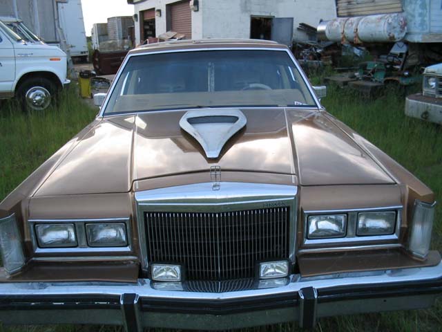 Front view of brown 1984 Lincoln Town Car with hood scoop, parked in grassy junkyard