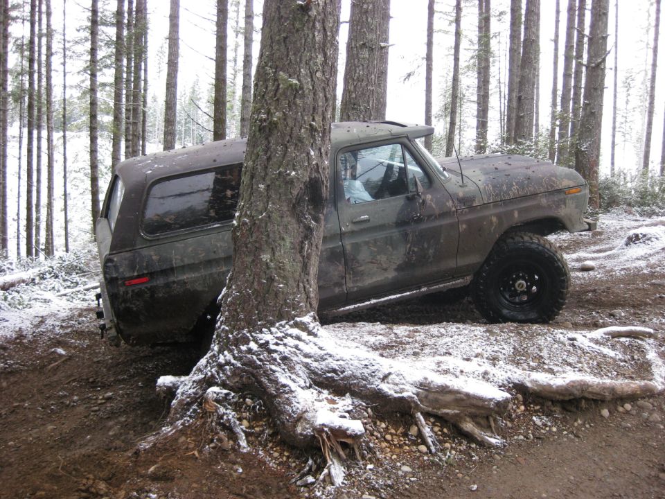1979 Ford Bronco parked on a snowy forest trail.