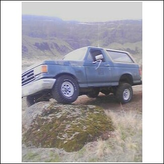 1989 Ford Bronco - bronco on 32's