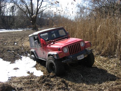 1991 Ford Bronco