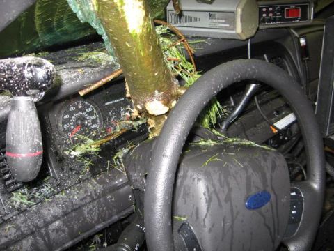 2001 Ford Crown Victoria - Photo of a crash-damaged vehicle interior with a tree intruding into the dash, not a technical document.