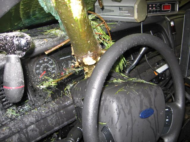 Interior of a wrecked Ford with a tree trunk pushed through the dashboard