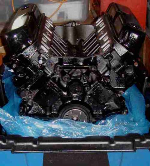 1981 Ford Bronco - Brand New Recon Performance 351W HO Crate Motor!! dynomometer tested at 360.44 lbft Torque @ 3600 RPM and 277.34 HP @ 4.400 RPM...