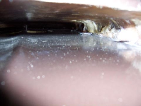1975 Ford Granada - another L bracket fiberglassed onto the scoop and nut clip bolted from under the hood