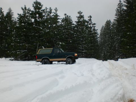 1995 Ford Bronco - A dark green Ford Bronco with a tan stripe is parked in a snow-covered forest road. The SUV has large off-road tires and is partially obscu…