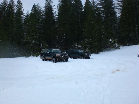 1995 Ford Bronco - Two SUVs are parked in a snow-covered area with a dense forest in the background. The SUV in the foreground is dark green with a tan camper…