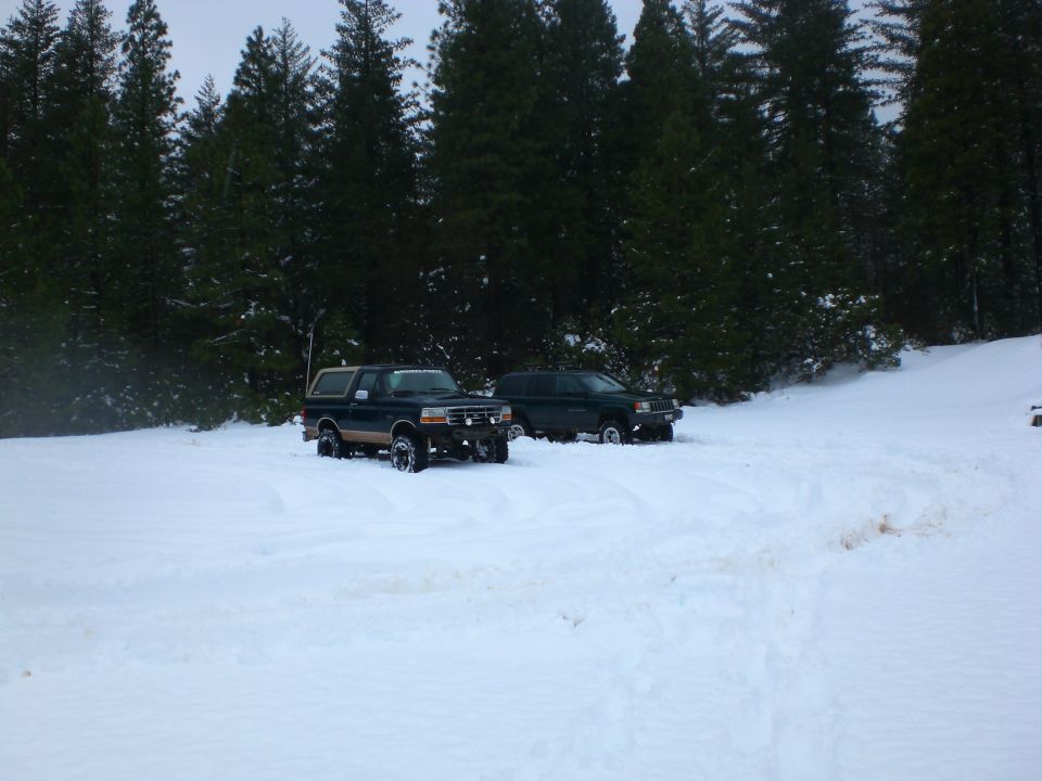 Two SUVs parked in the snow with a forest behind them.