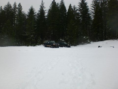 1995 Ford Bronco - Two SUVs are parked in a snowy field with a dense forest in the background. The SUV on the left is a dark green Ford Bronco.