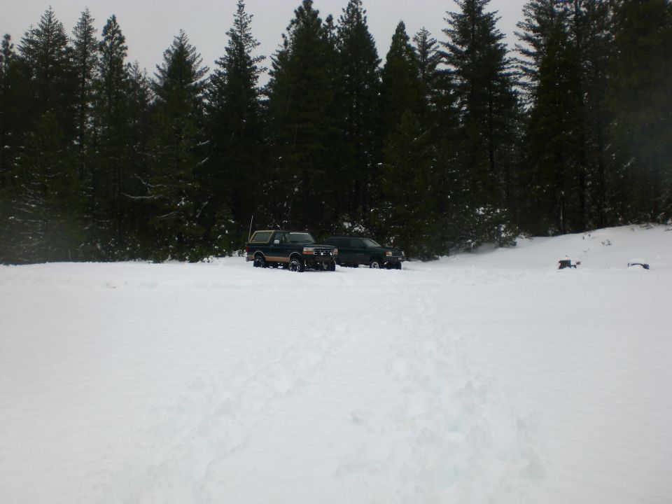 Two SUVs parked in a snowy field with a forest behind them.