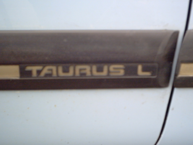 Side trim with gold lettering reading TAURUS L on a white vehicle