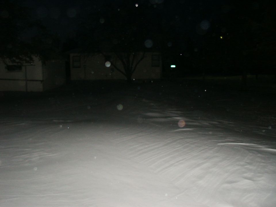 Snowy night scene with a house and trees in the background.