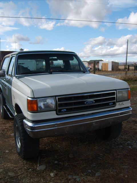 1989 Ford Bronco - last pic before the SAS