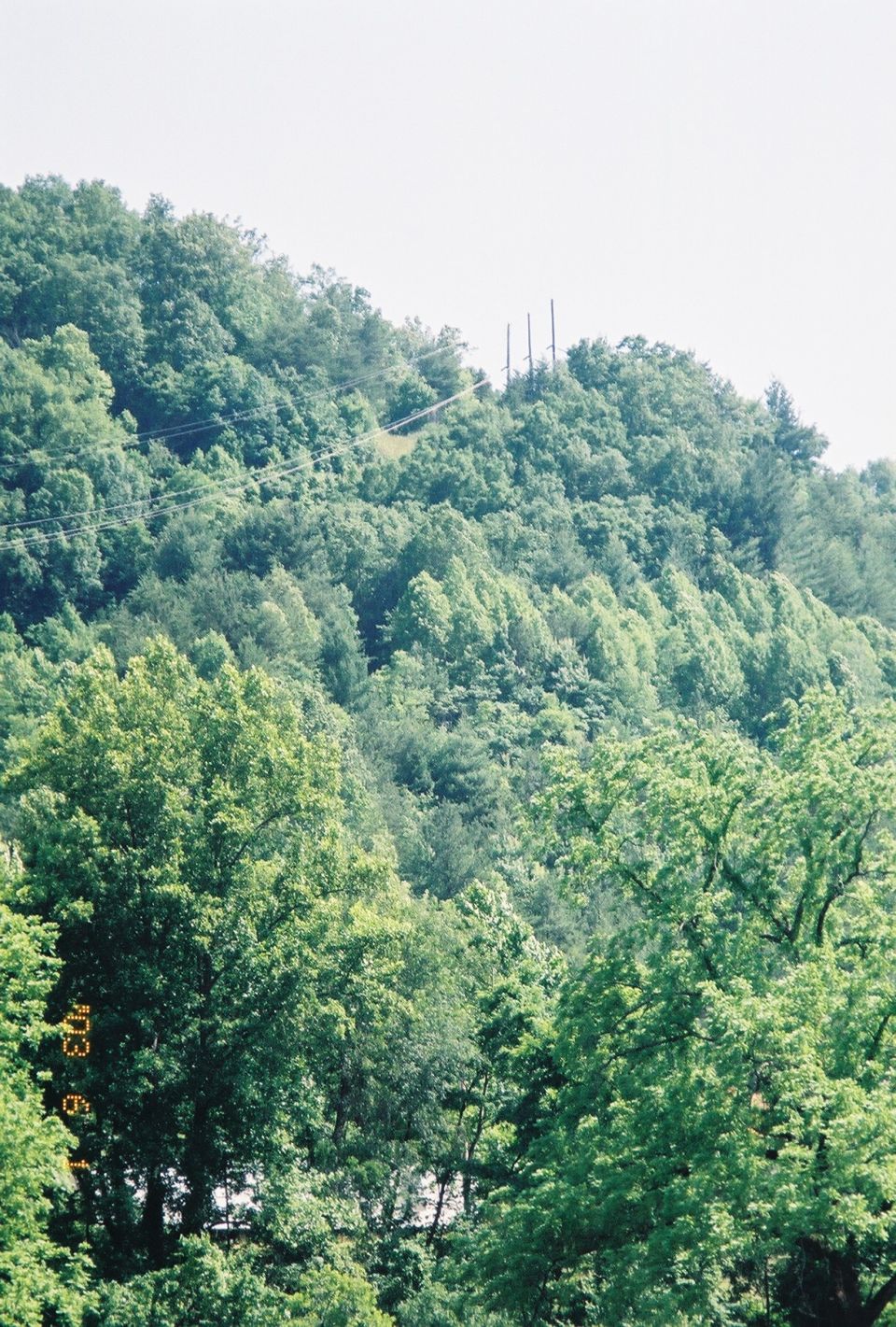 Eric Rudolphs Hill