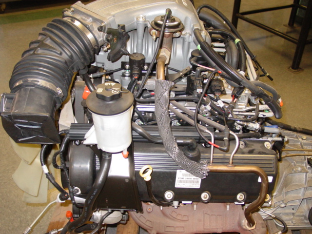 Ford V8 engine with intake and fuel filter on a bench