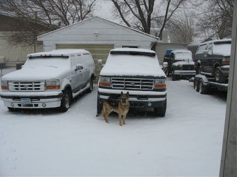 1978 Ford Bronco - Multiple Ford vans and trucks are parked outside in the snow with a dog nearby.