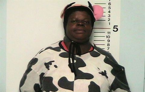 1995 Ford Bronco - Mugshot of an individual dressed in a cow costume, posing for a photograph.