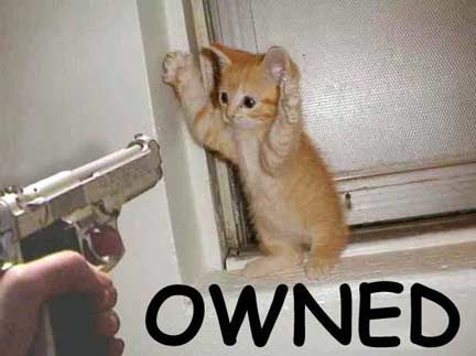 1972 Ford Ranchero - A kitten appears to be surrendering to a handgun, with the word "OWNED" displayed prominently.