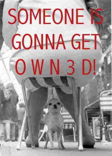 1972 Ford Ranchero - A small dog is positioned under a chair, with bold red text superimposed on the image.