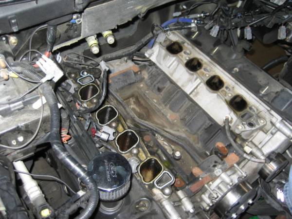 Engine bay with intake manifold removed, showing ports and wiring