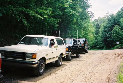 1991 Ford Bronco - Look at all the pretty clean Broncos all lined up. What a shame.