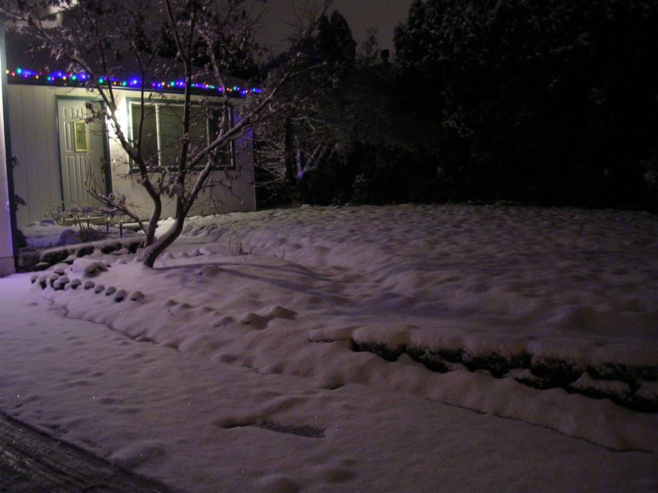 A snowy yard at night with Christmas lights.