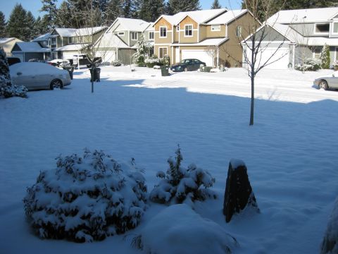 1979 Ford Bronco - A silver sedan covered in snow is parked in a driveway in front of houses on a snowy day. Another car is visible further down the street.