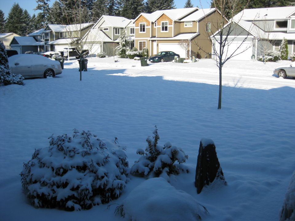 Silver sedan covered in snow in a residential driveway.