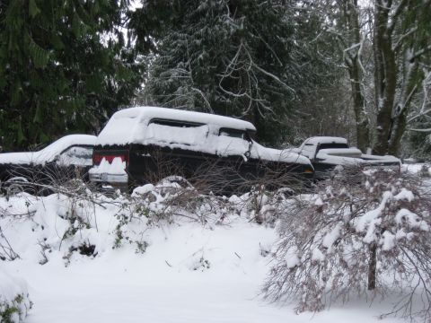 1979 Ford Bronco - Two dark-colored pickup trucks are parked side-by-side, covered in snow, with a dense forest in the background. The truck in the foreground…