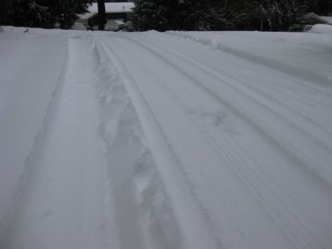 1979 Ford Bronco - A snow-covered driveway with tire tracks leading towards a house and trees in the background.