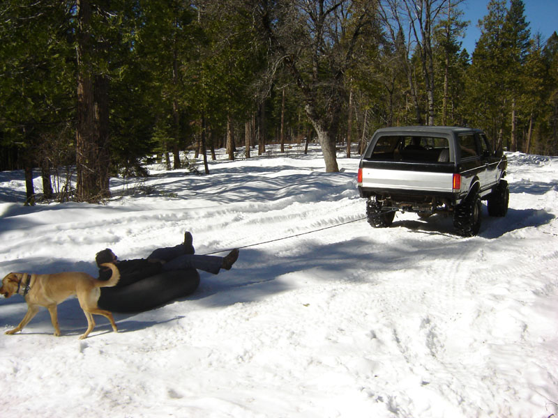Ford Bronco towing a person on an inner tube across snow with a dog