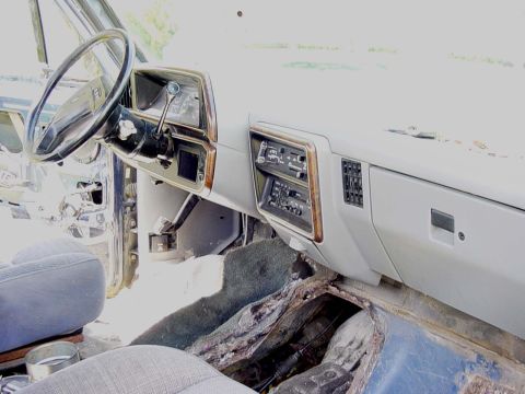 1988 Ford Bronco - Such a lovely mess... at least the interior IS emaculate... when it's together!