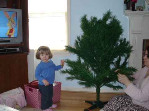 2000 Ford Crown Victoria - A child and a woman assemble an artificial Christmas tree in a room with a TV playing a cartoon.