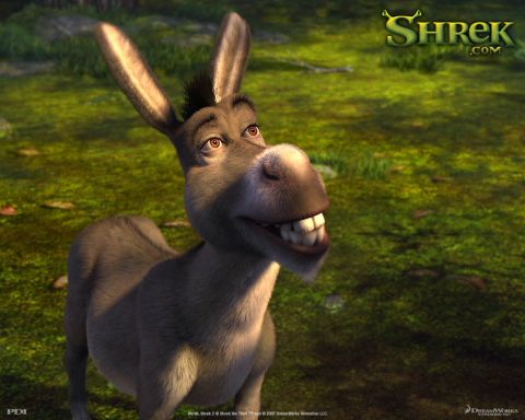 1988 Mercury Grand Marquis - A computer-generated image of Donkey from the movie Shrek, smiling broadly with his mouth open, showing his teeth. He is standing in a gras…