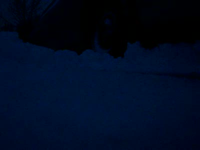 2000 Ford Crown Victoria - Cold start @ 5 Degrees F. MC 5w-30 Synthetic Blend and 9 YR old ORIGINAL battery.