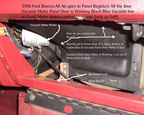 1986 Ford Bronco “Bronco 1”