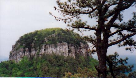 1982 Ford Bronco - Pilot Mountain, NC